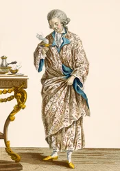 Dressing Gown in Printed Cotton, engraved by Patas, plate no.140 from 